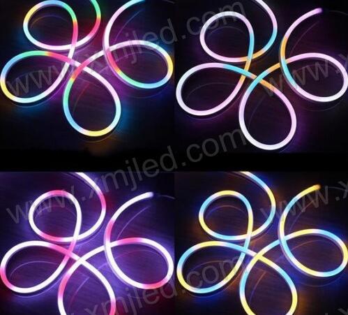 color changing led neon rope light& 5050 RGB led strip waterproof 60led/m 24V/220V